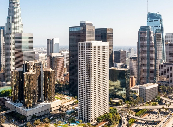 A close-up shot shows a laptop computer displaying the word "Support" in white text at the top left of its screen. Below "Support" is a graphic of interconnected blue squares, and in the center of the screen, a white "ENTER" button is visible within a black rectangle, with "click here for more information" written beneath it. The laptop is open on a white surface, with part of a potted plant and some folders visible in the blurred background to the right.